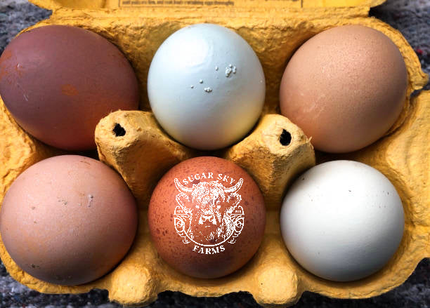 Customers Choice Spilt Dozen Hatching Eggs
