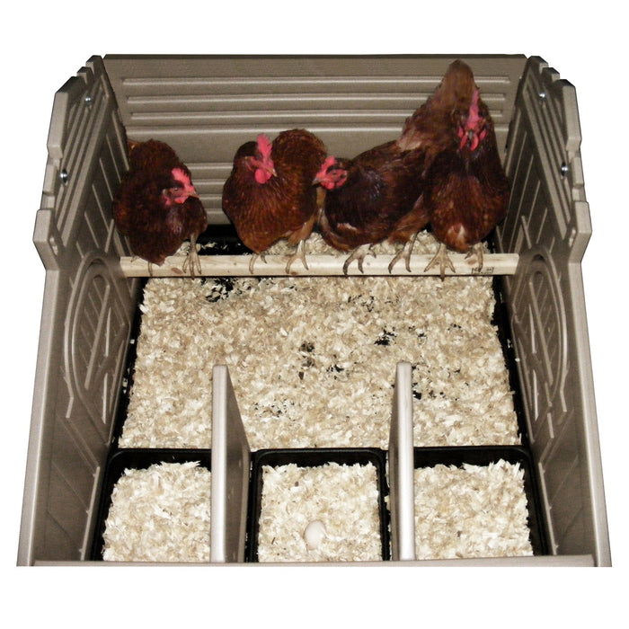 Standard Chicken Coop (4 Bird)