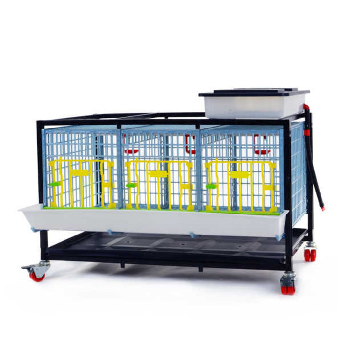 Grow Out Pen - 1 Layer H:15"