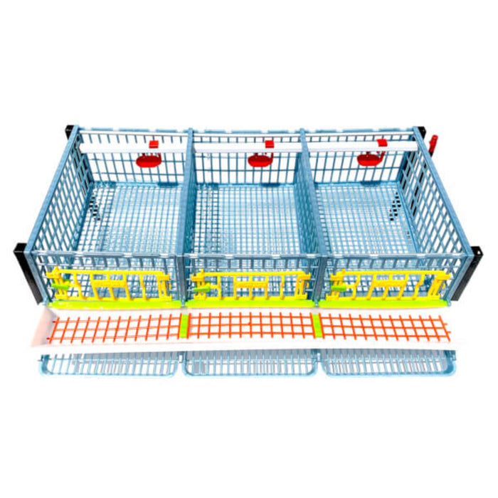 Quail Cage - 1 Layer