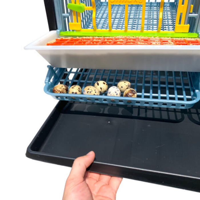 Quail Cage - Layer Addition