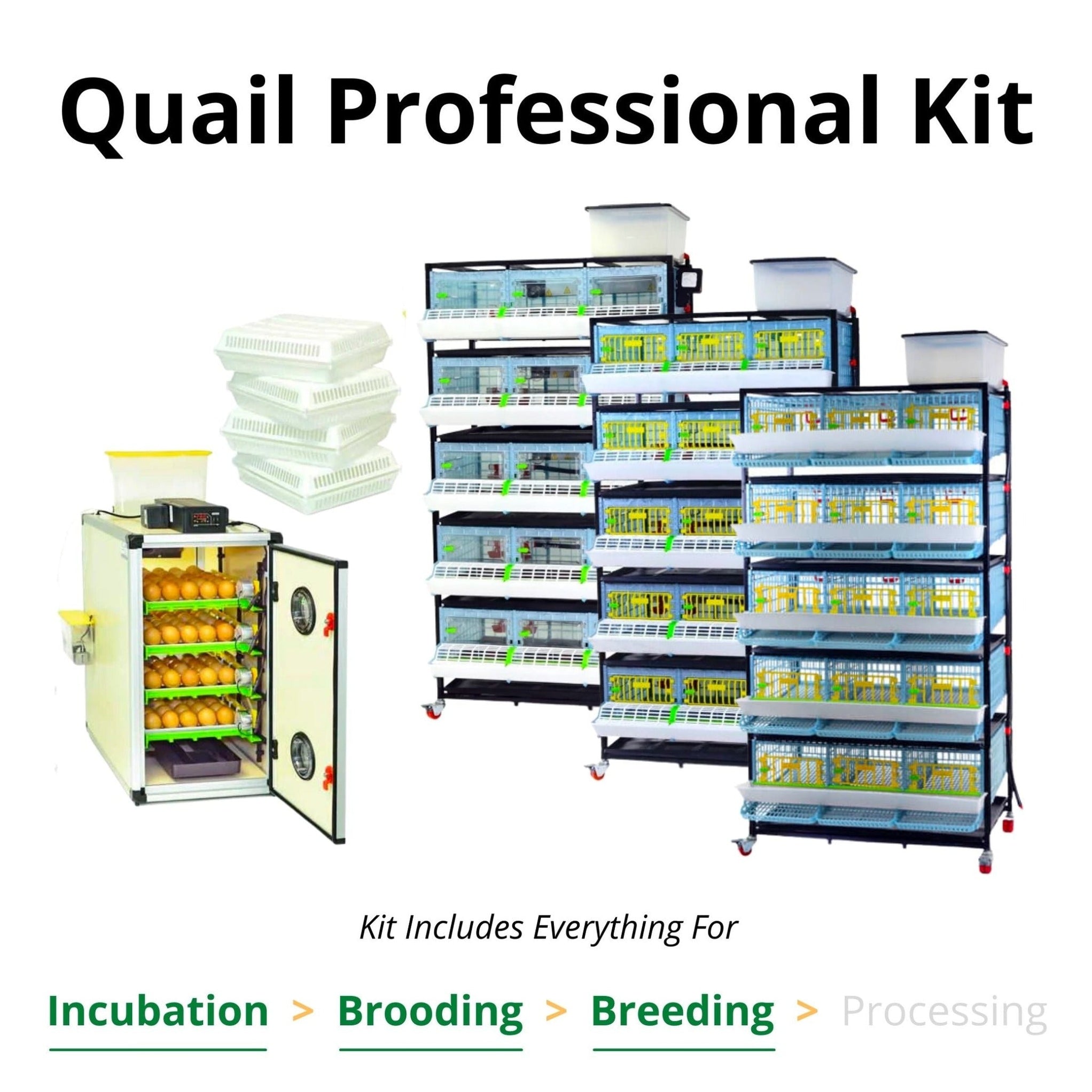 Quail Professional Kit– Sugar Sky Farms